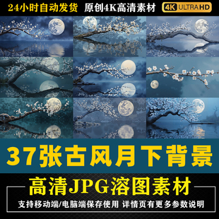 573.古风月亮树枝水面倒影月夜湖水繁花合成后期PS修图背景素材