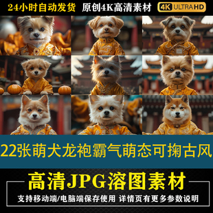 397.22张萌犬龙袍霸气萌态可掬古风后期修图背景素材PS电商底图