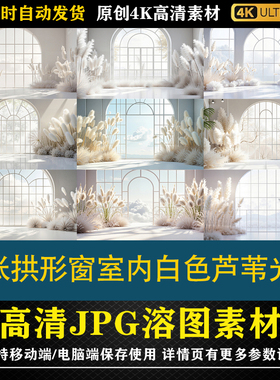 355.35张拱形窗室内白色芦苇光影cos合成影楼后期修图背景素材
