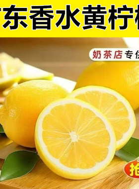 广东香水黄柠檬黄皮柠檬新鲜果园直发当季奶茶店商用