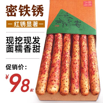 正宗温县 铁棍山药新鲜乌鸡土怀山淮山河南焦作紫红皮铁杆乌鸡土