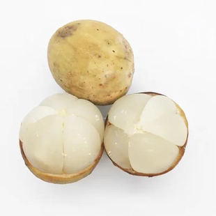 龙贡果苗泰国椰色果树嫁接进口兰撒爱情果苗正品包邮南北方可种植