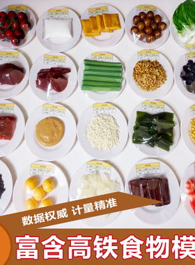 富含铁营养素食物模型20件套