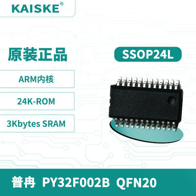 PY32F002B  SSOP24L 单片机 M0+内核 24K-ROM