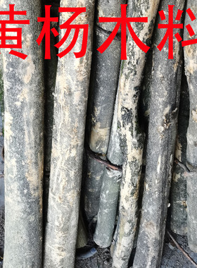 小叶黄杨木料 木雕刻木柄手把摆件佛珠子手串山黄杨原实木手工diy