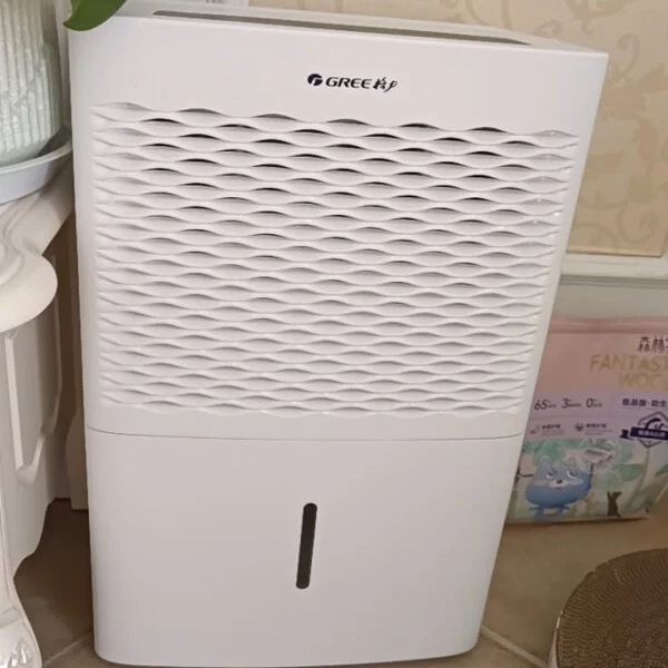 格力除湿机家用卧室抽湿机低噪干衣除湿器吸干燥机20升/天 DH20EM