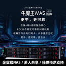 双万兆电口 ECC内存 硬阵列剪辑服务器 飞牛NAS 12盘位企业级NAS