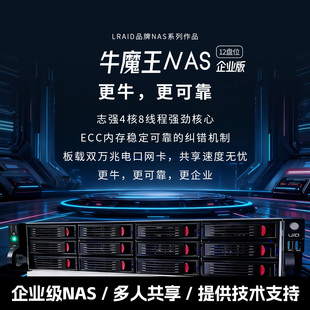 双万兆电口 ECC内存 硬阵列剪辑服务器 飞牛NAS 12盘位企业级NAS