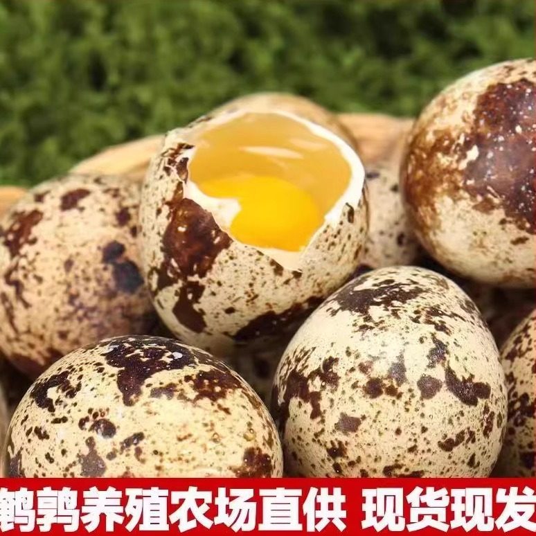 多规格可选新鲜鹌鹑蛋生的105枚农家杂粮小鸟蛋宝宝辅食鹌鹑蛋箱