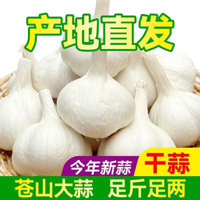 【产地直发】正宗苍山四六瓣大蒜