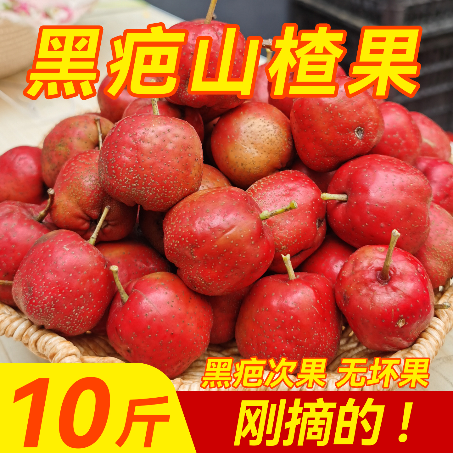 山楂鲜果新鲜现摘大五棱山里红酸甜红果甜红子金星糖葫芦专用大果