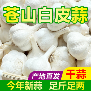 山东农家新鲜大蒜头干蒜3斤苍山白皮生蒜瓣5斤装今年新蒜种子大蒜