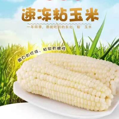pxs直播间粉丝专享玉米价（6支装）