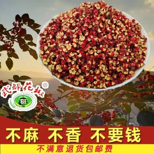 新品新花椒武都花椒无籽食用新鲜货特麻椒粒香卤料可打粉一级货