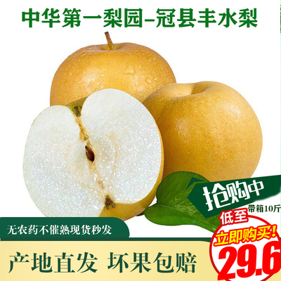 现摘现发正宗冠县丰水梨产地直供