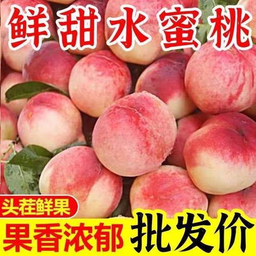 【现摘】正宗脆桃蜜桃水蜜桃新鲜桃子当季水果孕妇水蜜桃脆桃精品