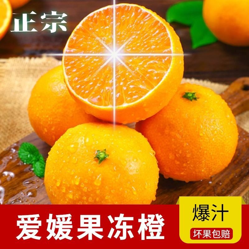 精品正宗四川爱媛果冻橙新鲜水果当季孕妇水果橙子整箱批发