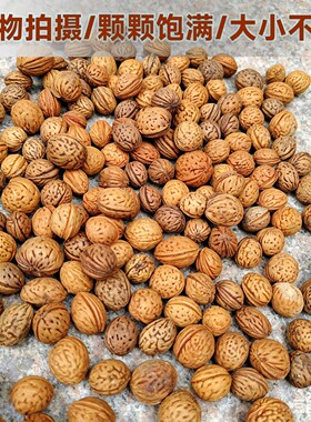 野生小桃核拍打袋原料量大优惠