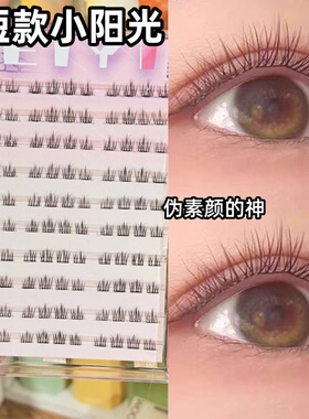 EIYI免胶短款小太阳花假睫毛789mm女自然自粘仿真眼睫毛2025新款