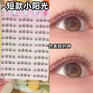 EIYI免胶短款 小太阳花假睫毛789mm女自然自粘仿真眼睫毛2025新款