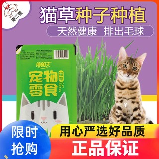 猫草种植套装去毛球化毛猫草小麦种子猫咪零食猫咪盆栽猫草种子