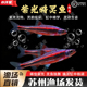 紫光精灵鱼淡水观赏鱼多彩霓虹紫光精灵小型耐寒低温鱼原生鱼灯鱼