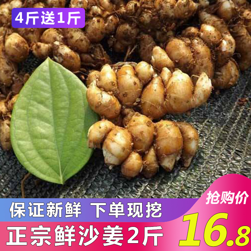 个大新鲜