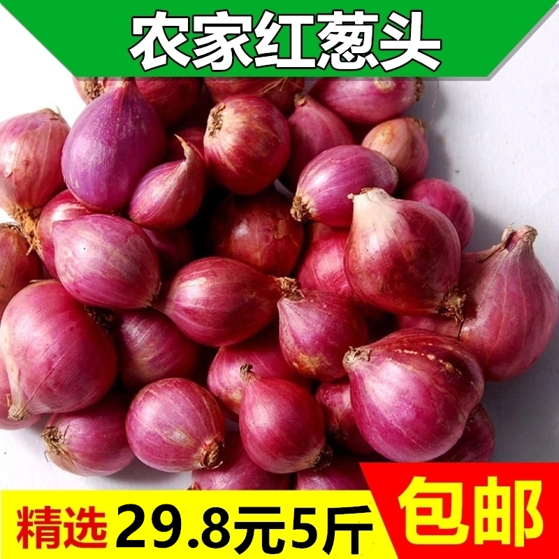 汇嘉广式美食