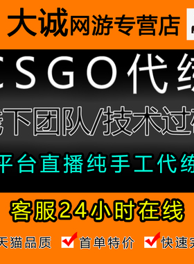 CSGO代练完美5E天梯上分CS2起源2定级赛等级胜场官匹段位B5代打