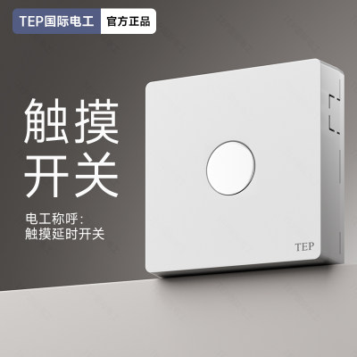TEP国际电工明装触摸延时开关