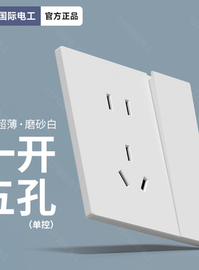 TEP国际电工全塑超薄奶油风白墙壁5孔电源带一开单控开关控制插座
