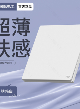 TEP国际电工肤感白色开关家用哑光86型超薄款五孔插座一开双2控联
