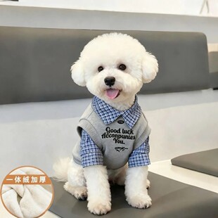 宠物秋冬雪纳瑞比熊泰迪中小型犬 小狗衣服加绒假两件拼色Polo衫