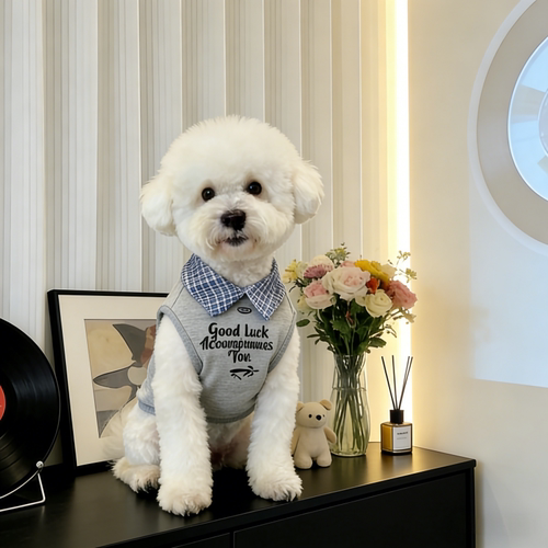 小狗春夏衣服背心Polo衫宠物设计感雪纳瑞比熊泰迪中小型犬两脚衣