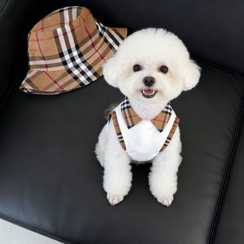宠物夏季格子翻领衣服雪纳瑞西高地比熊POLO领柴犬中小狗衣服潮