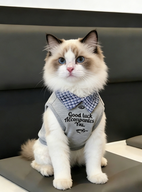 猫咪春夏衣服假两件背'Polo衫宠物布偶金银渐层蓝猫中小型猫衣服