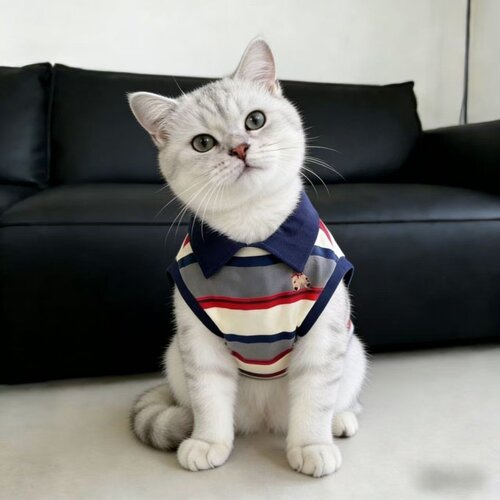猫咪衣服夏季背心Polo衫宠物薄款布偶金银渐层蓝猫中小型猫衣服潮