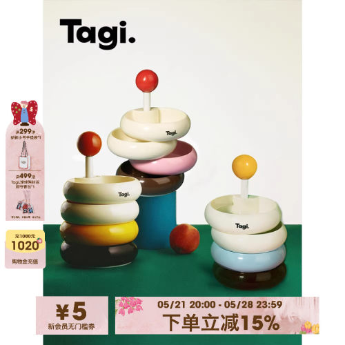 Tagi.项链杂物桌面收纳小众