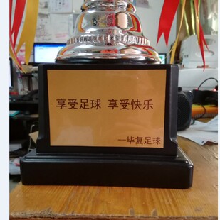 欧洲杯奖杯底座 可印字