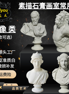大号素描人物石膏像阿波罗劳孔胸像美术教具摆件雕塑摆件雕像美术