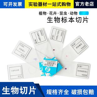 显微镜玻片标本套装 初中学生儿童学生动物植物细胞生物切片标本