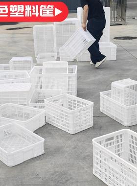白色塑料筐周转筐蔬菜水果筐鸡蛋筐全新料箩筐物流运输框透气网框