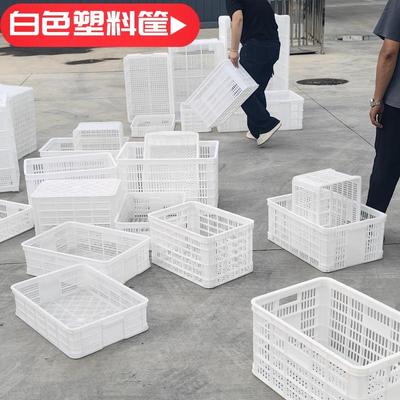 白色塑料筐周转筐蔬菜水果筐鸡蛋筐全新料箩筐物流运输框透气网框