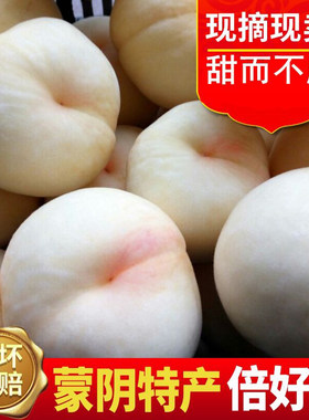 蒙阴毛桃蜜桃新鲜桃子水果桃小旺