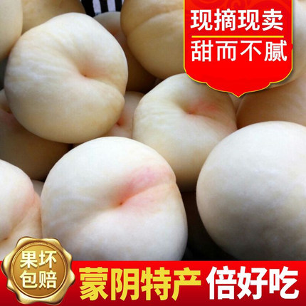 蒙阴白玉桃沂蒙大桃子新鲜水果毛桃白桃现摘现发蜜桃桃小旺5斤