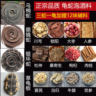 三蛇一龟泡酒中药材龟蛇酒一龟三蛇酒眼镜蛇乌梢蛇银环草龟板