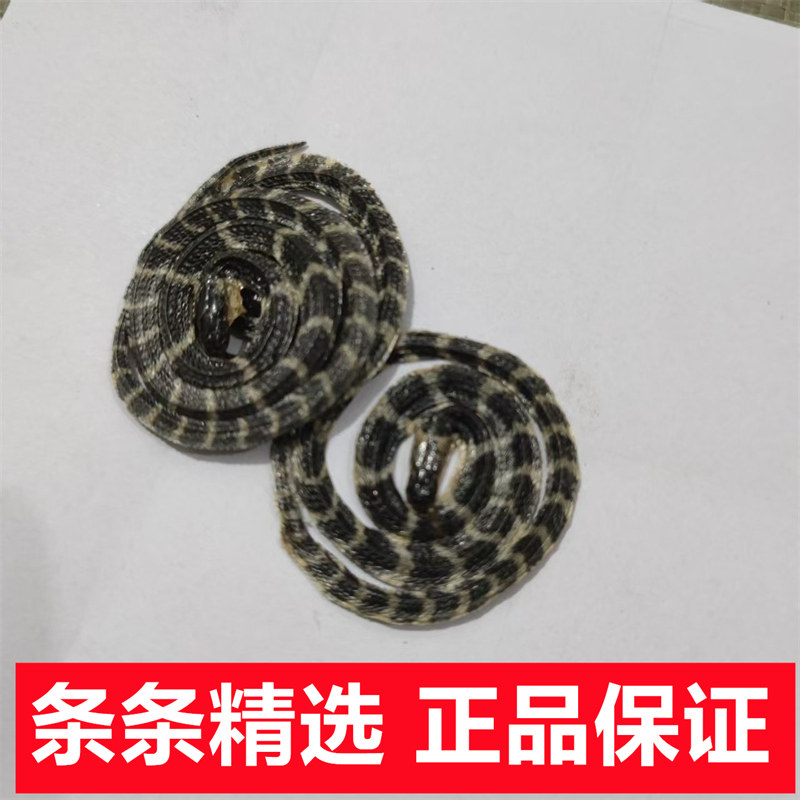 金钱白花蛇中药材一条起特级白花蛇干货泡酒料江西小白花蛇银环蛇