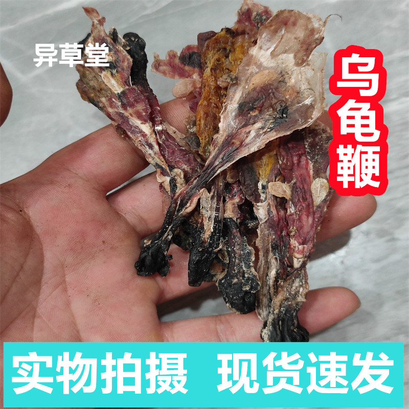 乌龟鞭干精选老乌龟鞭正品新货草龟鞭干煲汤泡酒料另售狗鞭牛鞭