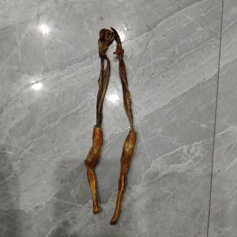 狗鞭中药材20克狗鞭干货狗肾全套食用泡酒料狗鞭整根带蛋 狗鞭粉