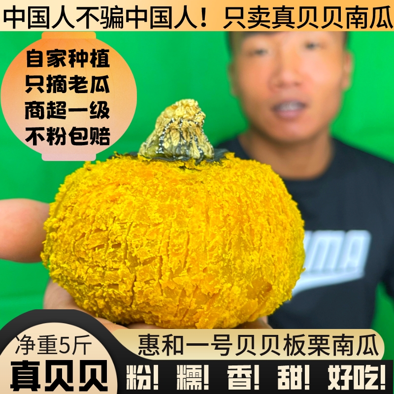 惠和一号贝贝南瓜正宗板栗味南瓜